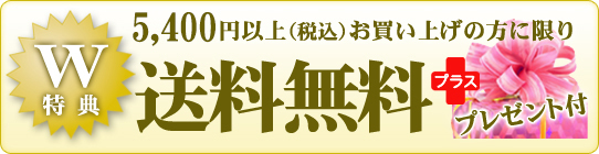 【W特典】 税込5,250円以上お買い上げの方 送料無料+プレゼント付!