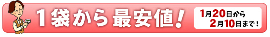 1袋から最安値!