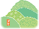 茶畑イメージ